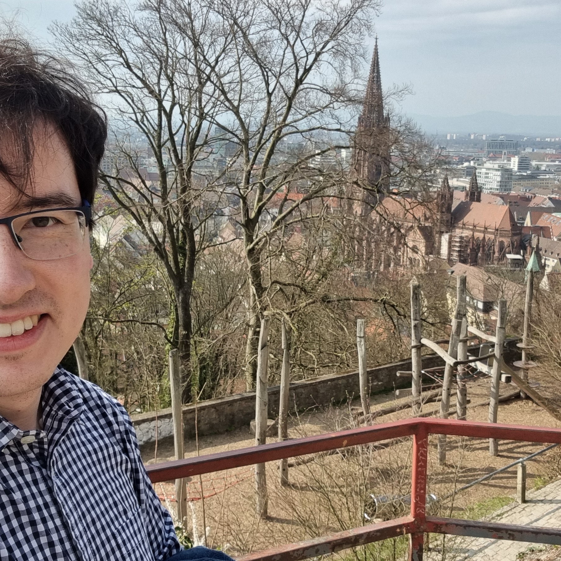 View of Freiburg from the Schlossberg